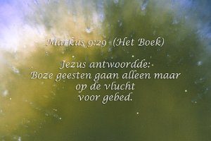 Mark0929-Boek-e  IDL TIFF file